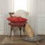  Coussin carré-182236224