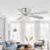 Caenas 52'' Ceiling Fan with Light Kit