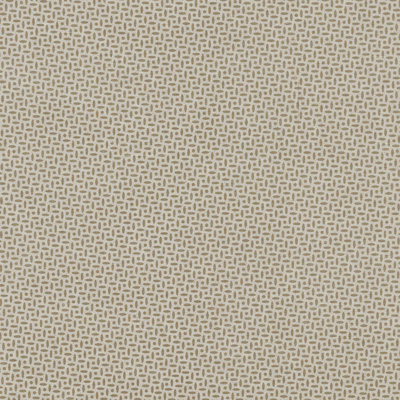 Schumacher x Veere Grenney Berrydown Fabric