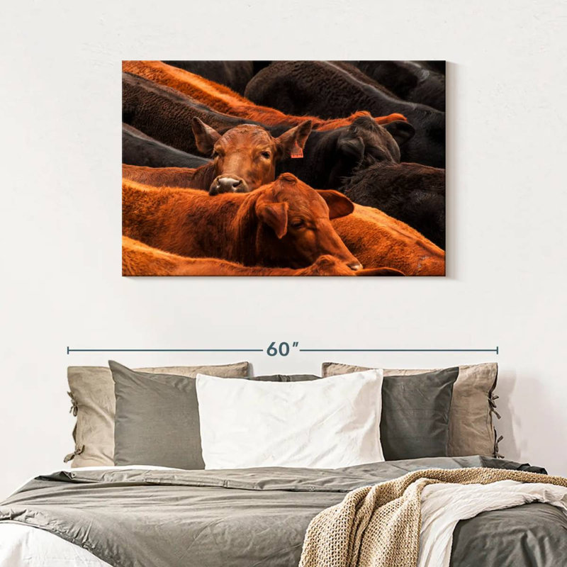 Brampt Beef Cattle, 30" H x 45" W