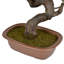 42cm Faux Bonsai Tree in Planter