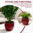 High quality ceramic flowerpot