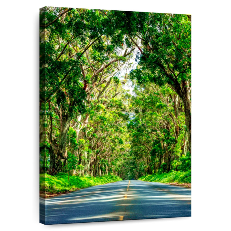 Tunnel d'arbre Mehar à Kauai, H 39 po x l 26 po