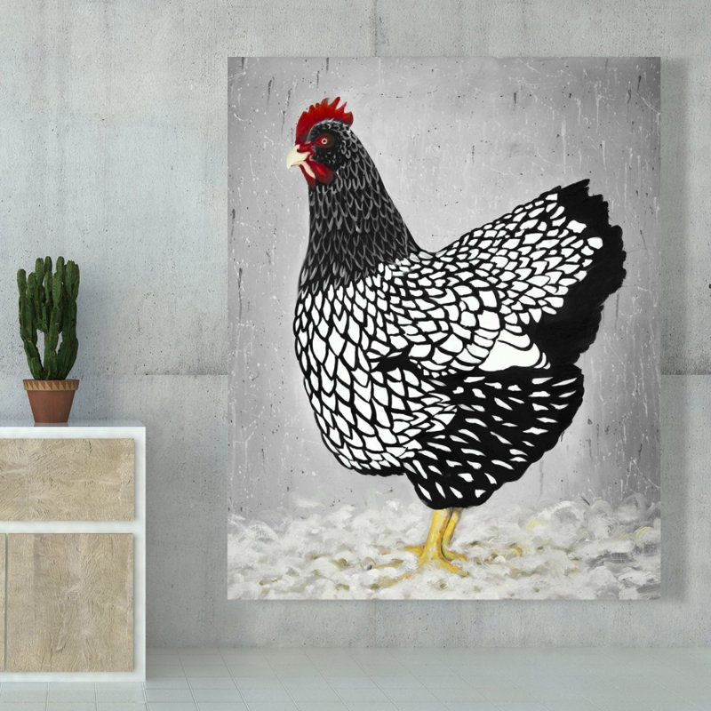 Poule noire et blanche Wyandotte, H 48 po x l 60 po