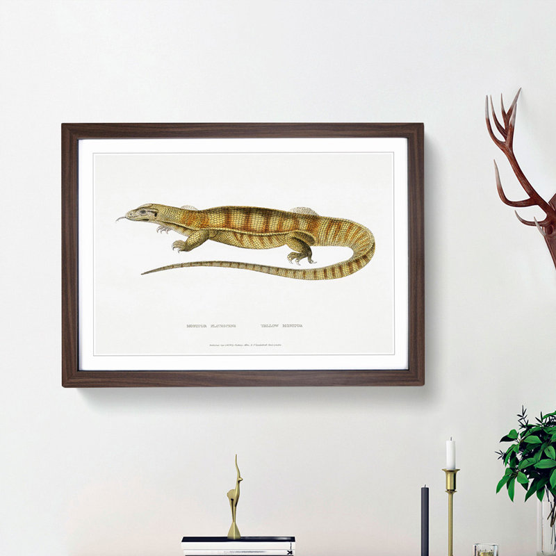 Yellow Monitor Lizard by John Edward Gray - Picture Frame Painting Print on MDF, 36cm H x 48cm W x 2cm D, Walnut Framed