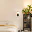 1 - Light Glass Dimmable Black Armed Sconce
