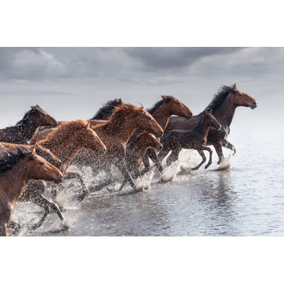 Herd Of Wild Horses by Tunart - Wrapped Canvas Print