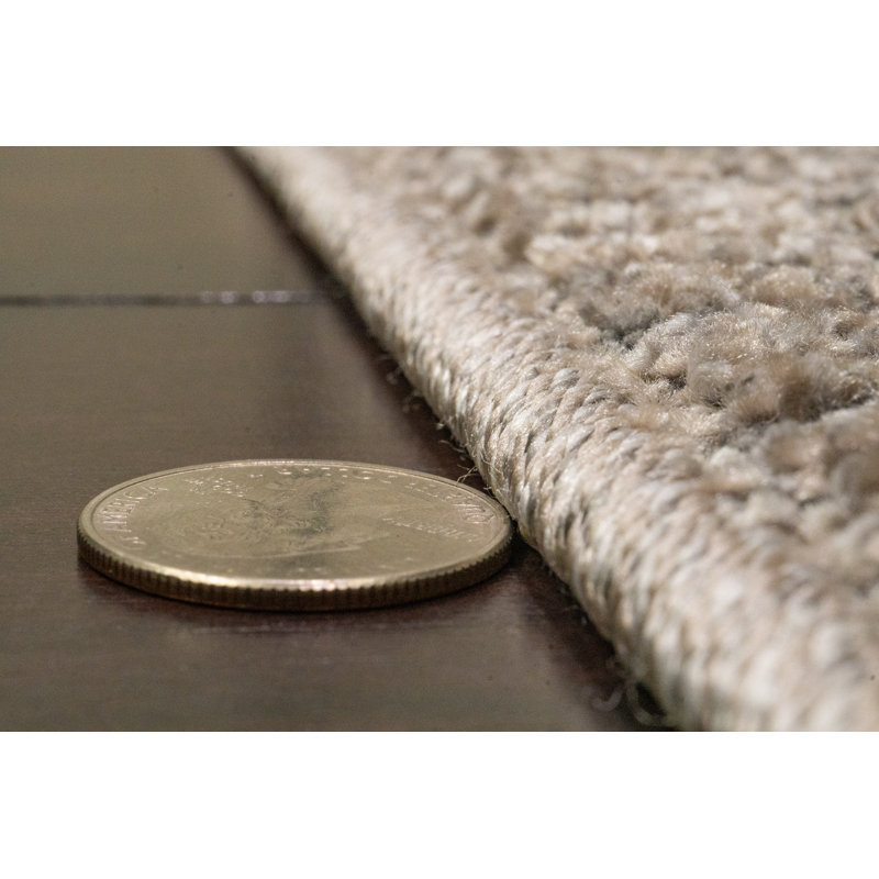 Tapis gris foncé Robichaud, Rectangle 3 pi 1 po x 5 pi 1 po