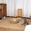 PP Pet Bed-2057042991