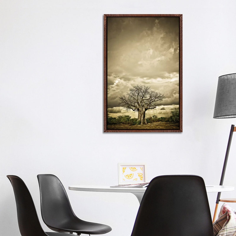 Baobab Hierarchy IV by Klaus Tiedge - Print on Canvas, 101.6 cm H x 66.04 cm W, Classic Brown Wood Framed