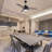 Viara 52'' Ceiling Fan with LED Lights-1353757173