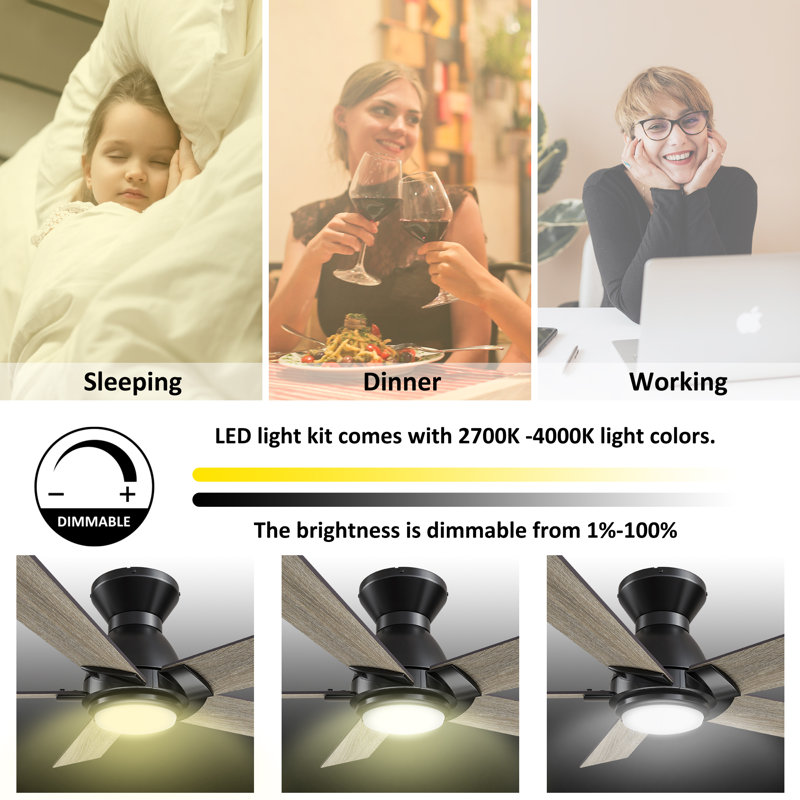 Smart Ceiling Fan With Remote, Light Kit, Works With Google Assistant And Amazon Alexa,Siri Shortcut., 48", Oak