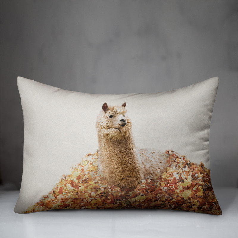  Housse et insert de coussin rectangulaire en polyester pour l'intérieur et l'extérieur