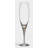 Intermezzo Gold Champagne 2-Pack