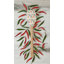 Spatule Spatulart® Add A Little Spice