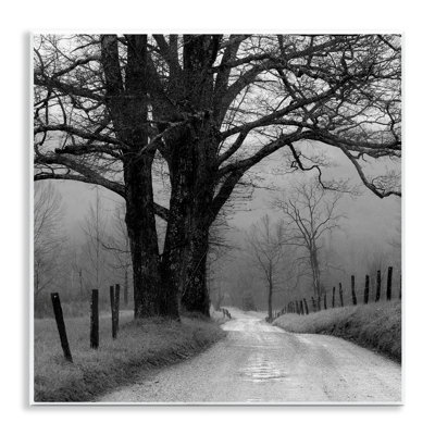 Lonely Path Toward Trees Wall Plaque Art by Nicholas Bell