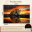 Peel and Stick Wallpaper 96" W x 69" H Modern Self Adhesive Wall Mural for Bedroom Animal Leopard 3D Mural Sunset Reflected Water Leopard Spots Desert-1693807081