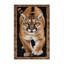  Tapis lavable Eastern Big Cougar-1039803761