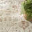 Nourison Pardis 4' x 6' Ivory Rust Vintage Indoor Rug-117637950