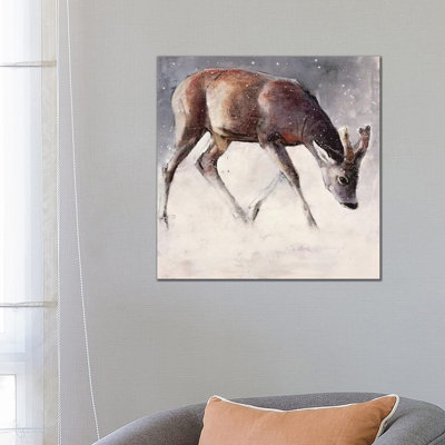 Roe Buck 1 Piece Wrapped Canvas Painting