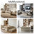 Colean Modern 39.4" W Rectangular Coffee Table