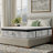 Kingsdown Passions Bankwell 16" Plush Twin Euro Pillow Top Hybrid Luxury Mattress-117284184