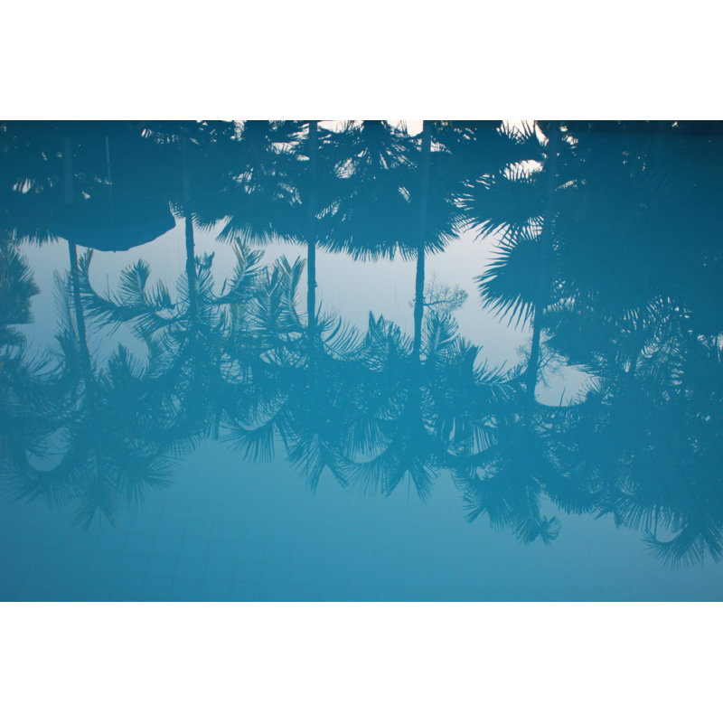 Reflective Palm - Wrapped Canvas Art Prints, 61cm H x 91cm W x 3.8cm D