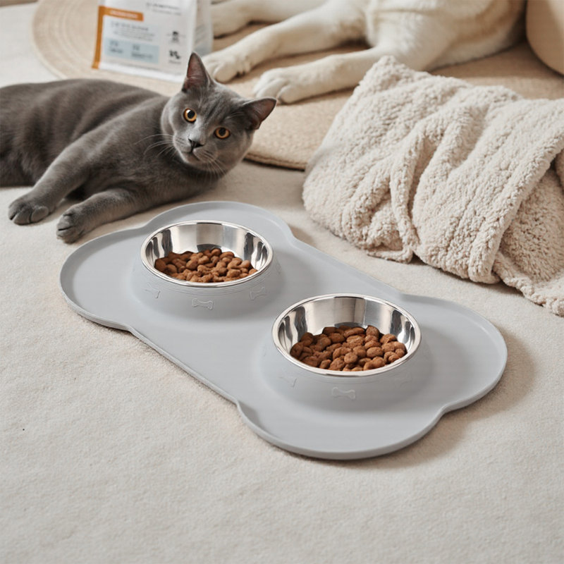 Double-bowl Pet Feeder with Non-slip Silicone Mat