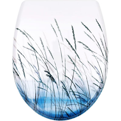 Duroplast Toilet Seat Soft Close -Quick Release Toilet Lid with Top Fixing,view pattern