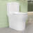 17" ADA Compliant One-piece Ceramic Toilet Dual Flush White Toilet Soft Close Toilet with Comfort Chair Height Seat