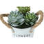 Plante artificielle