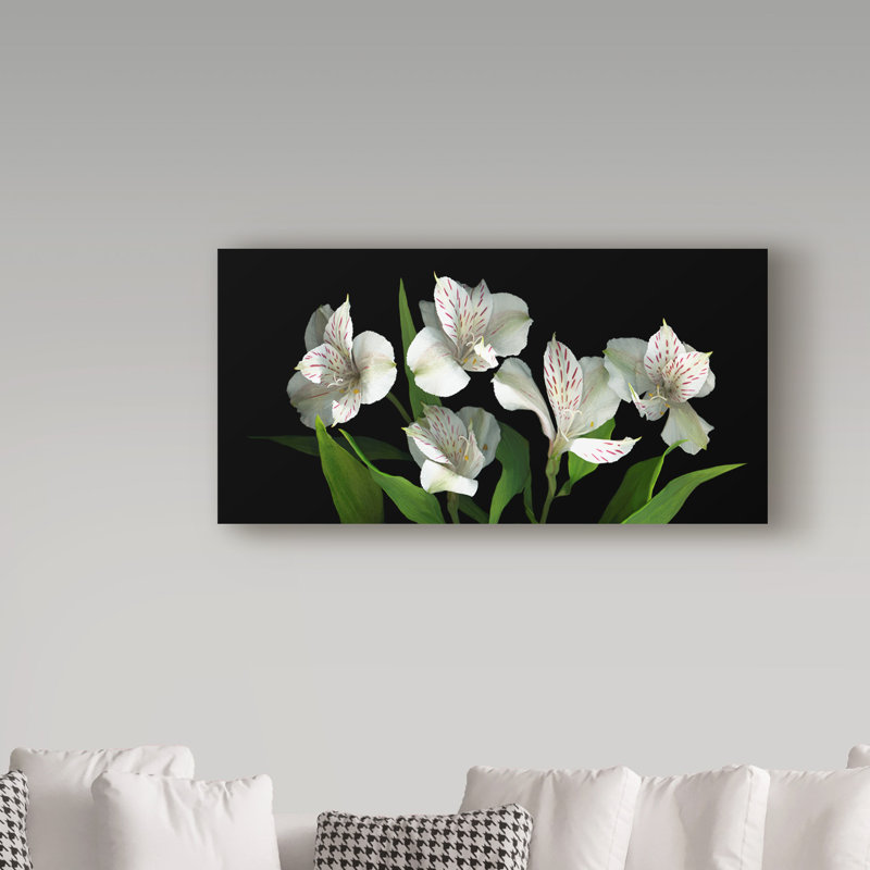 «White Alstroemeria» par Dosta, impression sur toile tendue, H 10 po x l 19 po x P 2 po