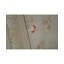 Floral Area Rug