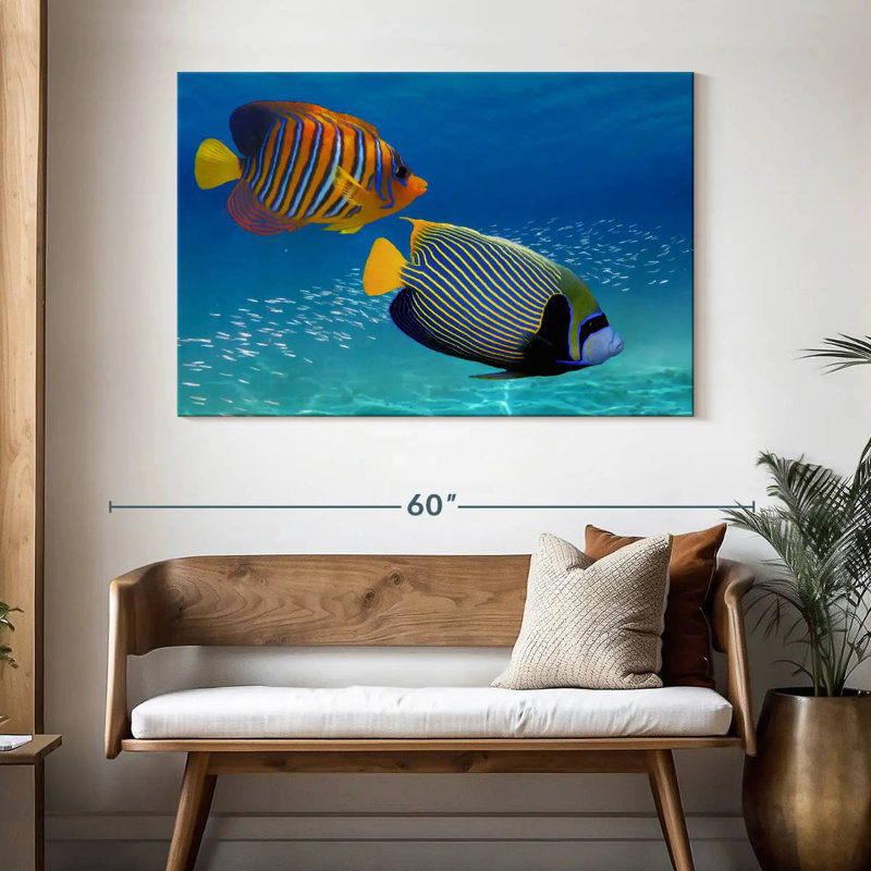 Brampt Exotic Emperor Angelfish, 32" H x 48" W
