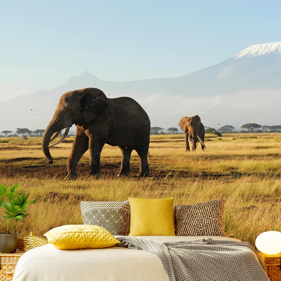 Elephants in Front of Kilimanjaro in Kenya 2.55m x 3.84m Textured Matte Peel & Stick Wall Mural