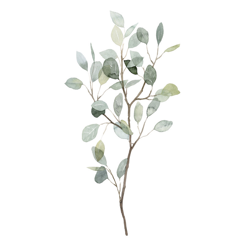 Eucalyptus sablier I, H 12 po x l 8 po x P 1,25 po