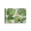 «Tropical Jade Oasis on Canvas» par Max Maxx, reproduction-345780802-345780816