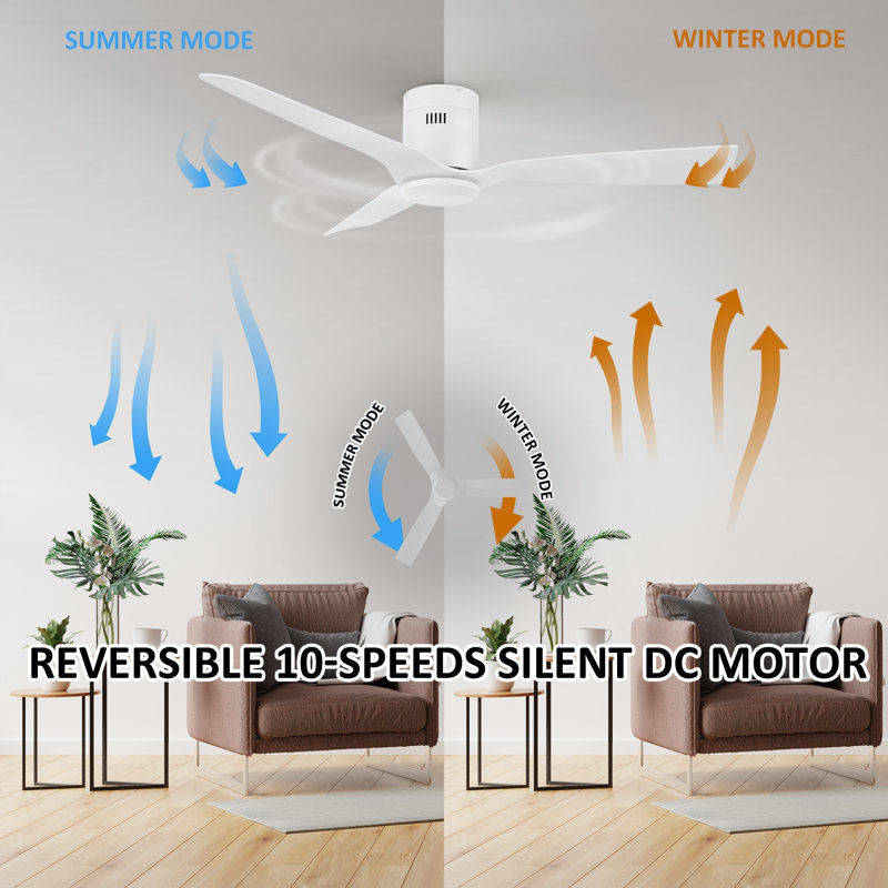 52'' Gargano 3 - Blade Flush Mount Ceiling Fan without Light, White
