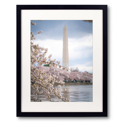 Petals Falling Print by Angela Pan