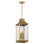 Salem 4 - Light Chandelier
