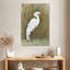 Brampt White Egret I-108361534