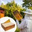 Beekeeping Woodenware-1761304502
