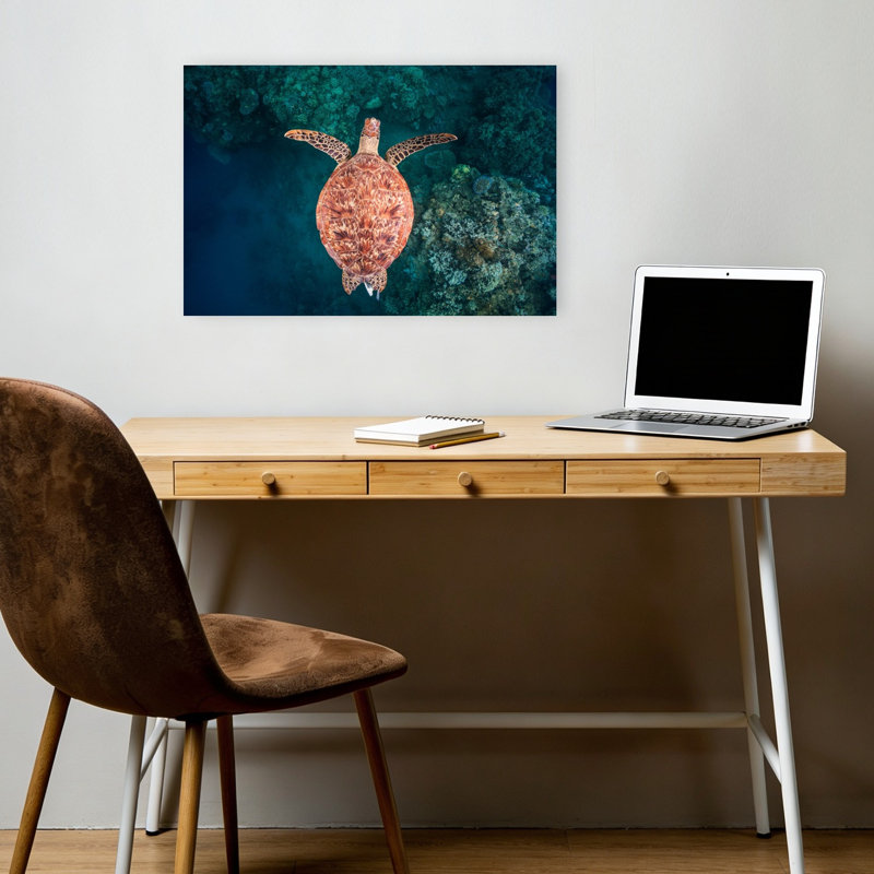 Graceful Sea Turtle Swim Peaceful Serene Vibrant Turtle Nature Ocean Wall Art Print 1 Piece Wrapped Canvas Wall Art