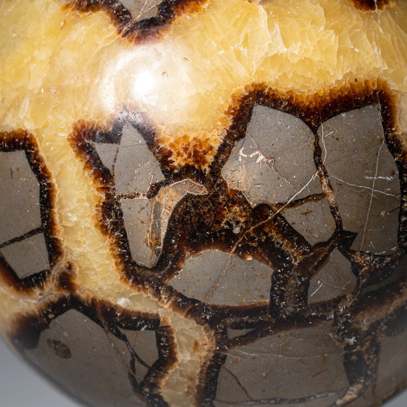 Genuine Polished Septarian (2") Sphere from Madagascar, 3.75" H x 3.75" W x 3.75" D, Yellow Calcite/Brown Aragonite/Gray
