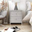 Isenbert 21.9" 2 Drawer Nightstand-405856732