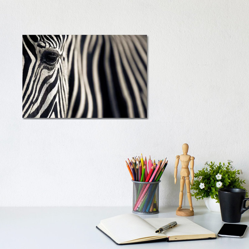 Eye And Stripes by Mario Moreno - Wrapped Canvas Print, 20.32 cm H x 30.48 cm W