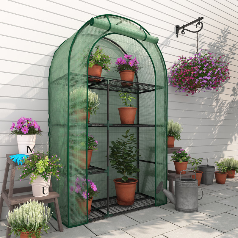 39''W x 17''D × 63''H Small Hobby Greenhouse