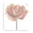 10" Autumn Cabbage Stem-128538648