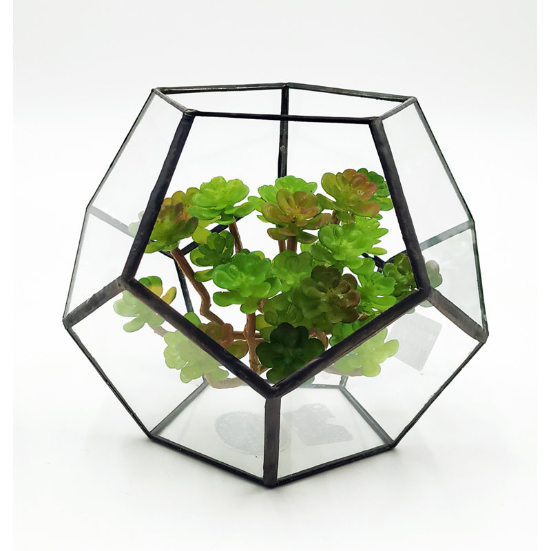 Terrarium cuivré de Norvège, Noir, H 5 po x l 6 po x P 6 po