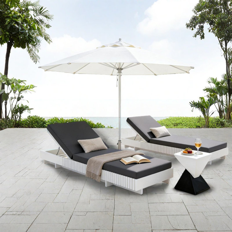 Méridienne de patio en bois d'acacia durable, coussin gris foncé moderne, détente extérieure polyvalente